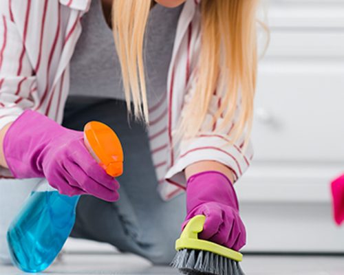 img_project_02_Home_Clean_House.jpg